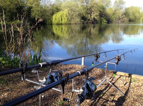 pescuit  - green2.jpg